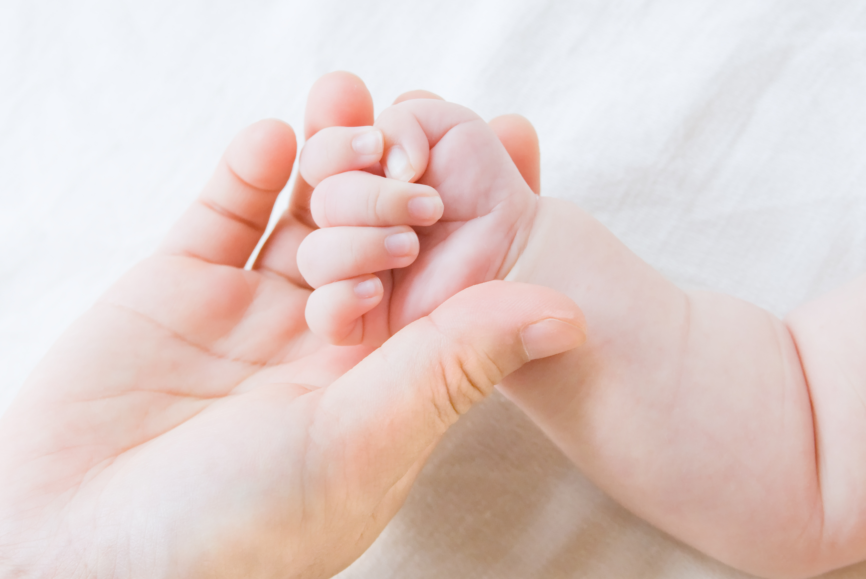 hand_picture